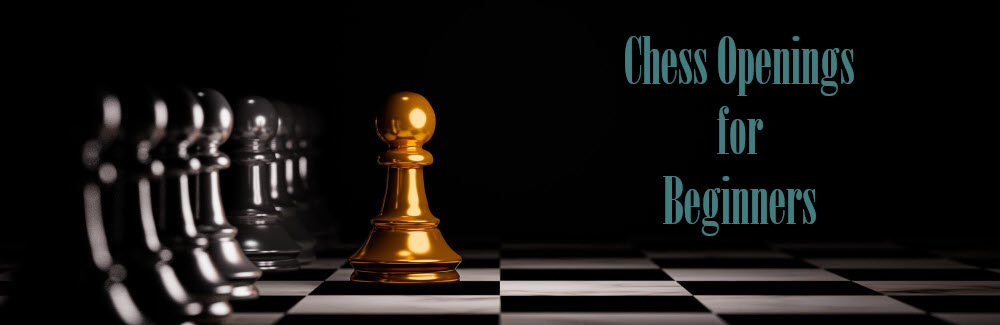 chess openings for beginners